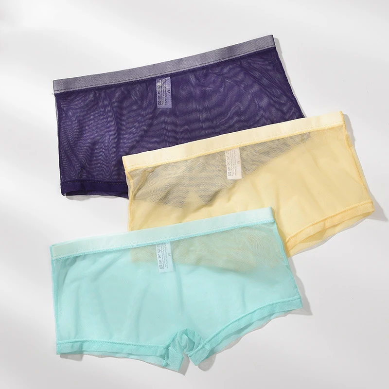 

Sexy Boxer Shorts Underpants Men Transparent Boxers Underwear Mesh Ultra-thin Men's Panties Low Waist Hombre Underpants Cueca