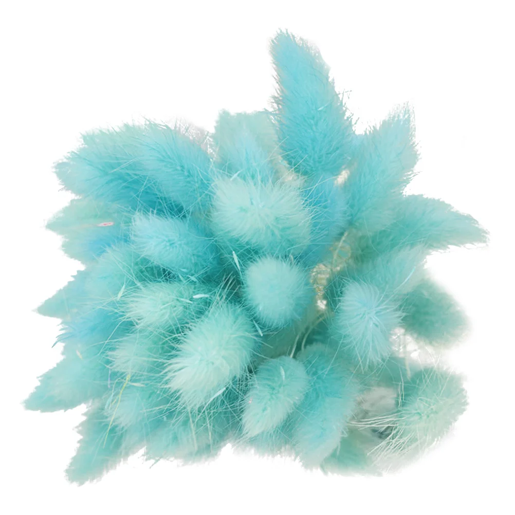 

Nativity Decor Natural Phragmites Plants Wedding Decor Dried Lagurus Home Decoration Natural Dried Flower Dried Flowers