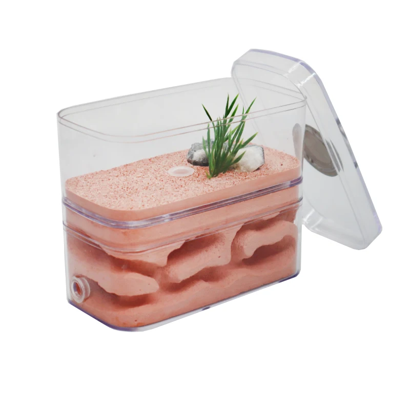 highly moisturizing ant farm plaster ant nest insect box with workshop pet anthill castle natural ecological ant house 12610cm free global shipping