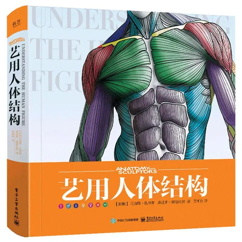 

3D HD Art Human Body Books Sculpture Game Character Design Basic Tutorial Books Drawing Human Form Structure Skeletal Muscle