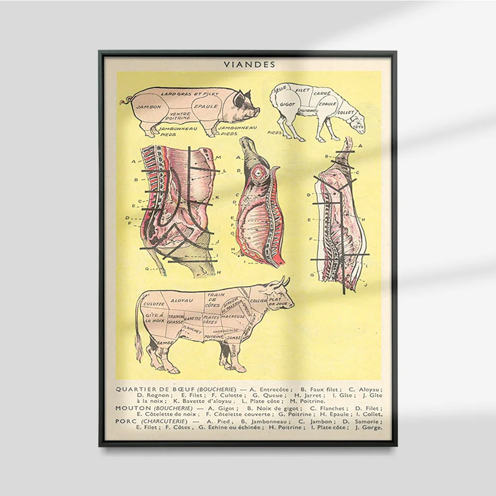 

Viandes Animal Anatomy Map Print Art Vintage Poster Pig Cattle Hand Drawing Illustration Canvas Painting Wall Stickers Decor