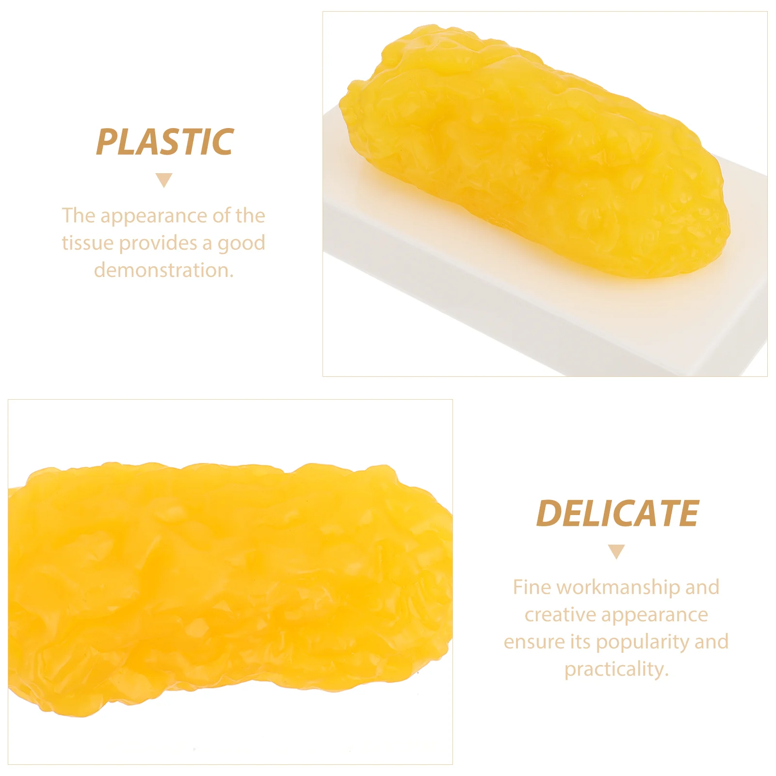 

Human Body Fat Replica 1 Pound Fat Model Fat Anatomical Fat Model for Keep Fit