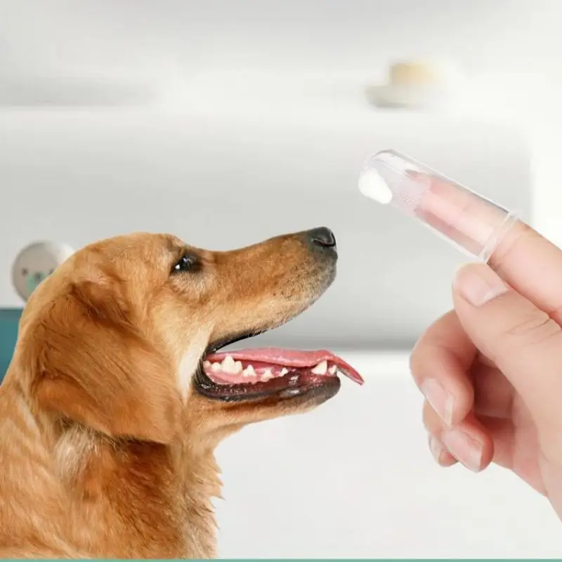 Зубная паста для кошек и собак с ароматом ванили |