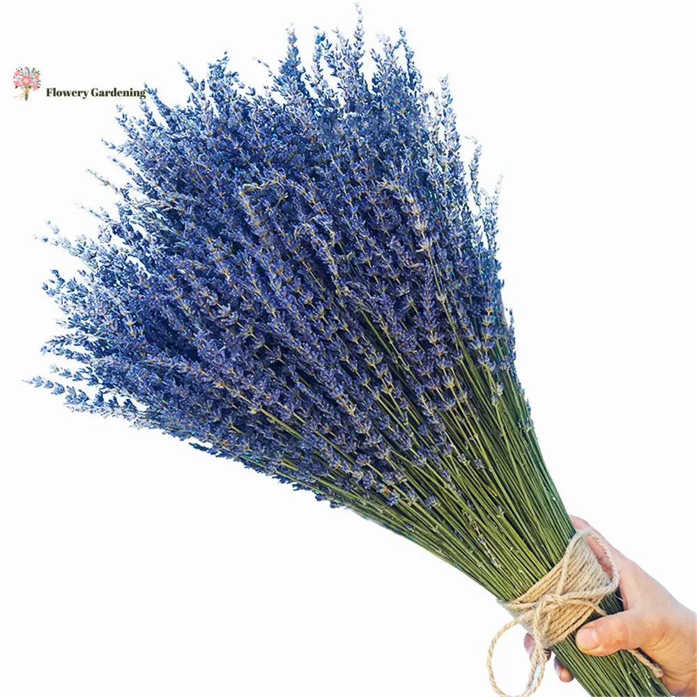 

100g Dry Lavender Natural Flower Bouquet For Valentine's Day Flower Wedding Party Gift Dried Lavender Decor Birthday Accessories