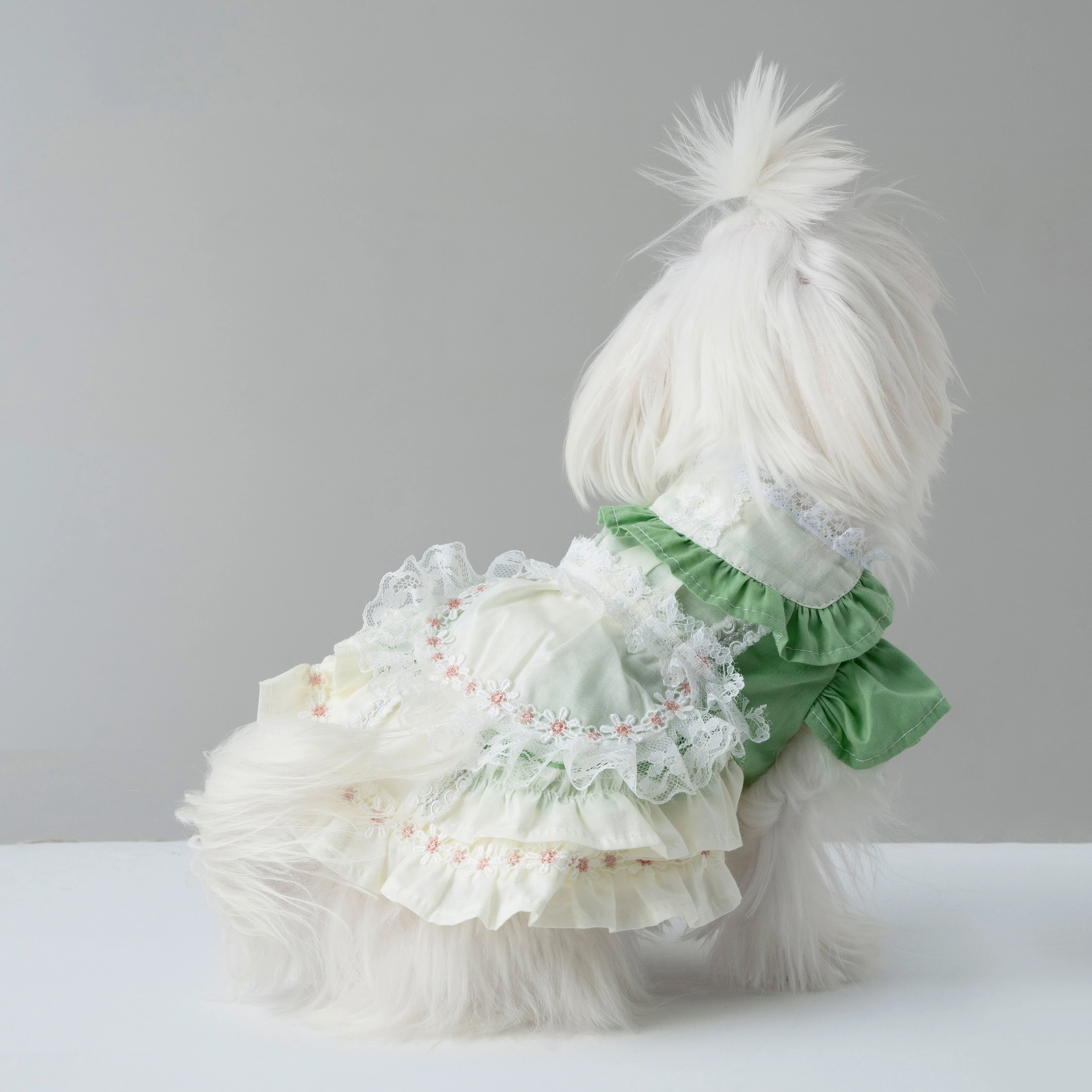 

100%Cotton Pet Dog Clothes Autumn New Puppy Dog Clothing Party Skirt Green White Lace Flower Princess Dress For Small Medium Dog