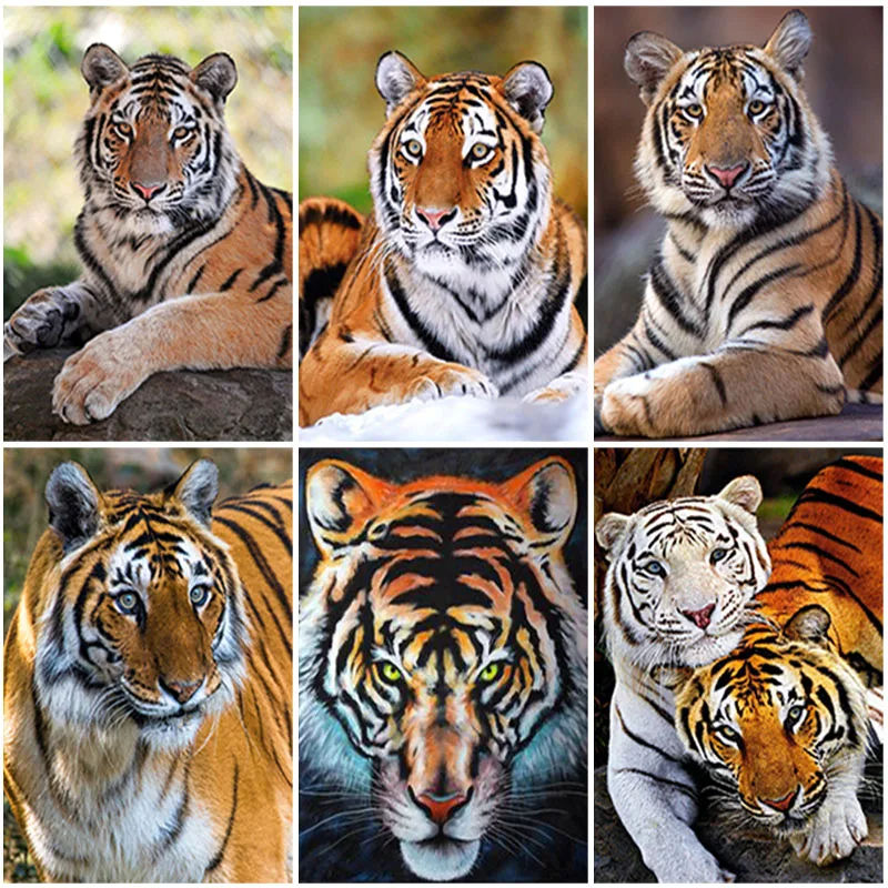 

DIY Tiger 5D Diamond Painting Full Square Drill Animal Diamond Embroidery Cross Stitch Kits Mosaic Wall Art Home Decor Gift