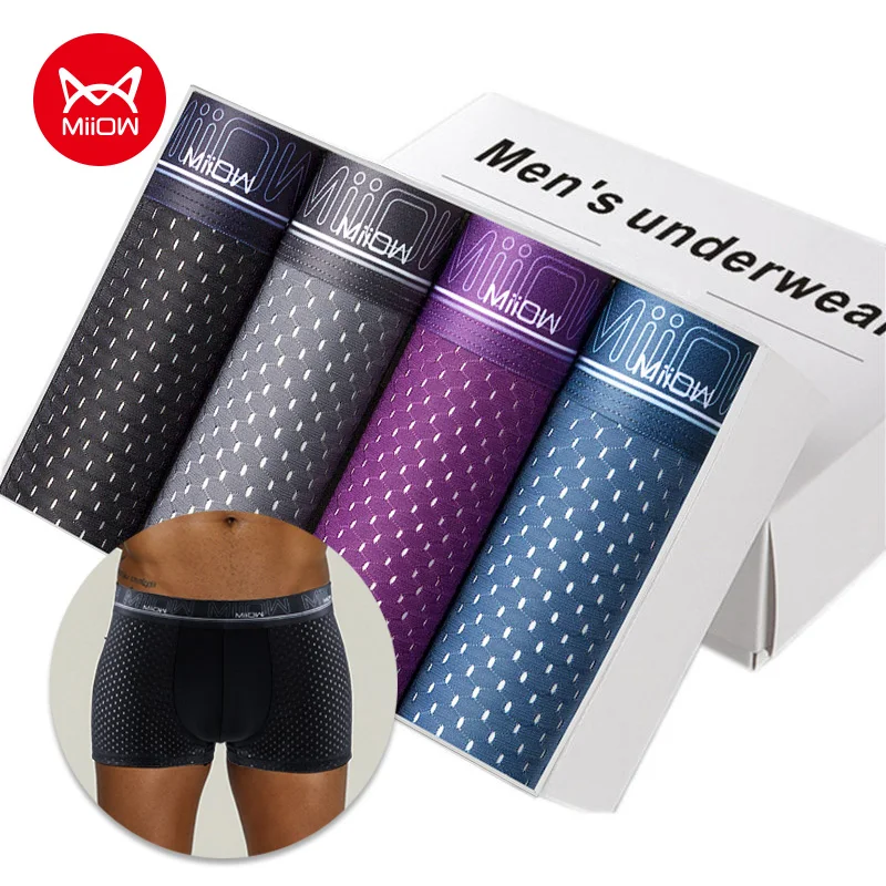 

MiiOW 4Pcs Sexy Mesh Men Underwear Boxer Shorts Breathable Cotton Pouch Boxershorts Panties Underware Lingerie L-3XL Underpants