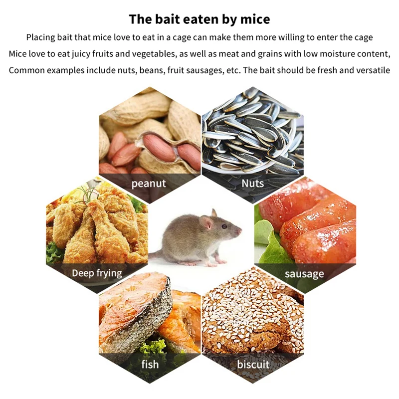 Многофункциональная ловушка для мышей грызунов клетка-ловушка крыс клетка