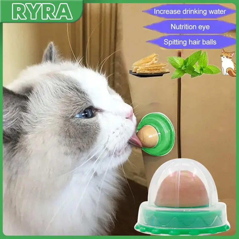 

Натуральная игрушка для кошек, стимулирует пищеварение, Снэк для кошек, товары для кошек, Настенная Наклейка на кошачьей мяте