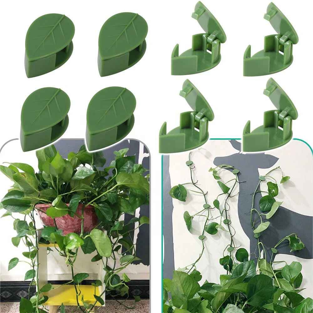 Plant Climbing Wall Leaf Clips Self-Adhesive Fixture Rattan Vine Fixed Buckle Garden Support Traction Fixing Hooks