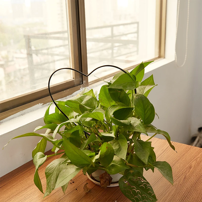 Железная стойка для поддержки садовых растений в форме сердца круглая луна