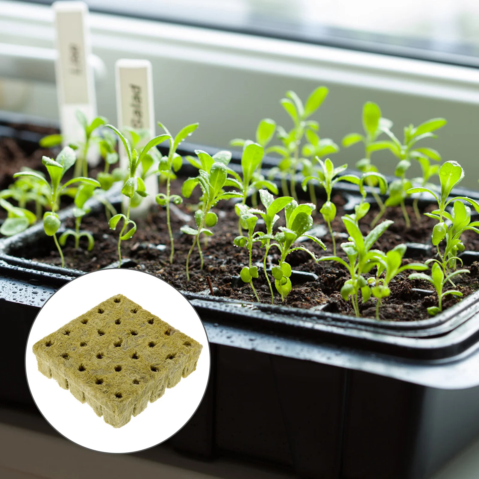 

25 Pcs Seedlings Soil Flower Kit Suite Nutrient Block Cultivation Soilless