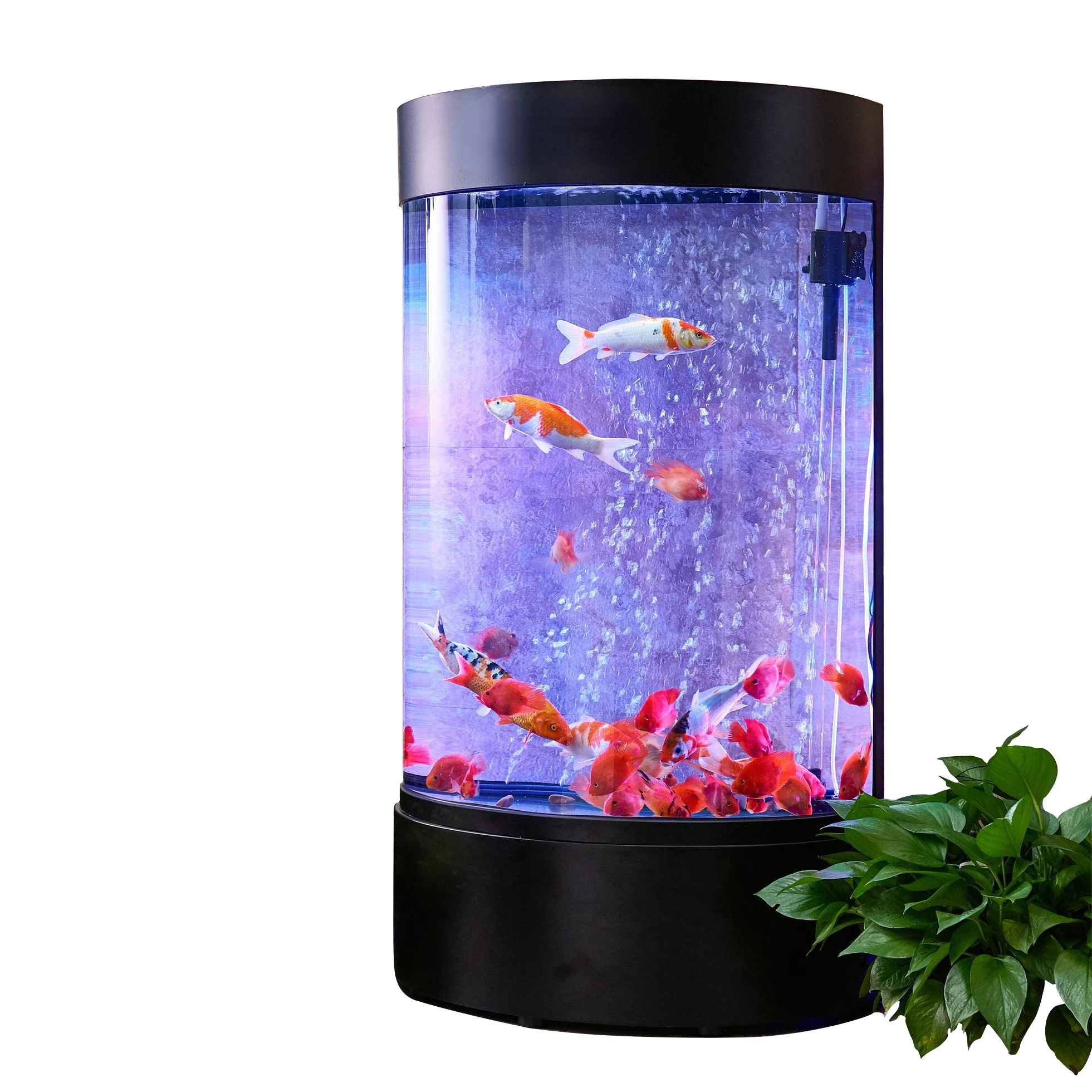 

half round high aquarium fish tank with led lights & water pump aquarium tank fish