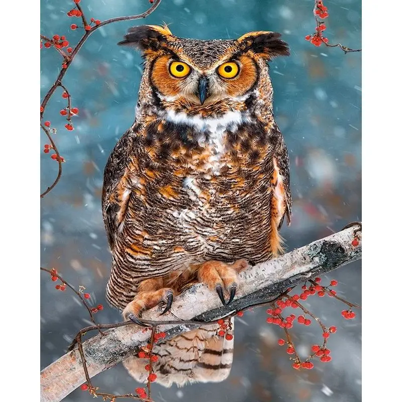 

GATYZTORY DIY Paints By Numbers Animals Owl 60x75cm Pictures Oil Painting By Numbers Set Gift Frameless Coloring By Numbers