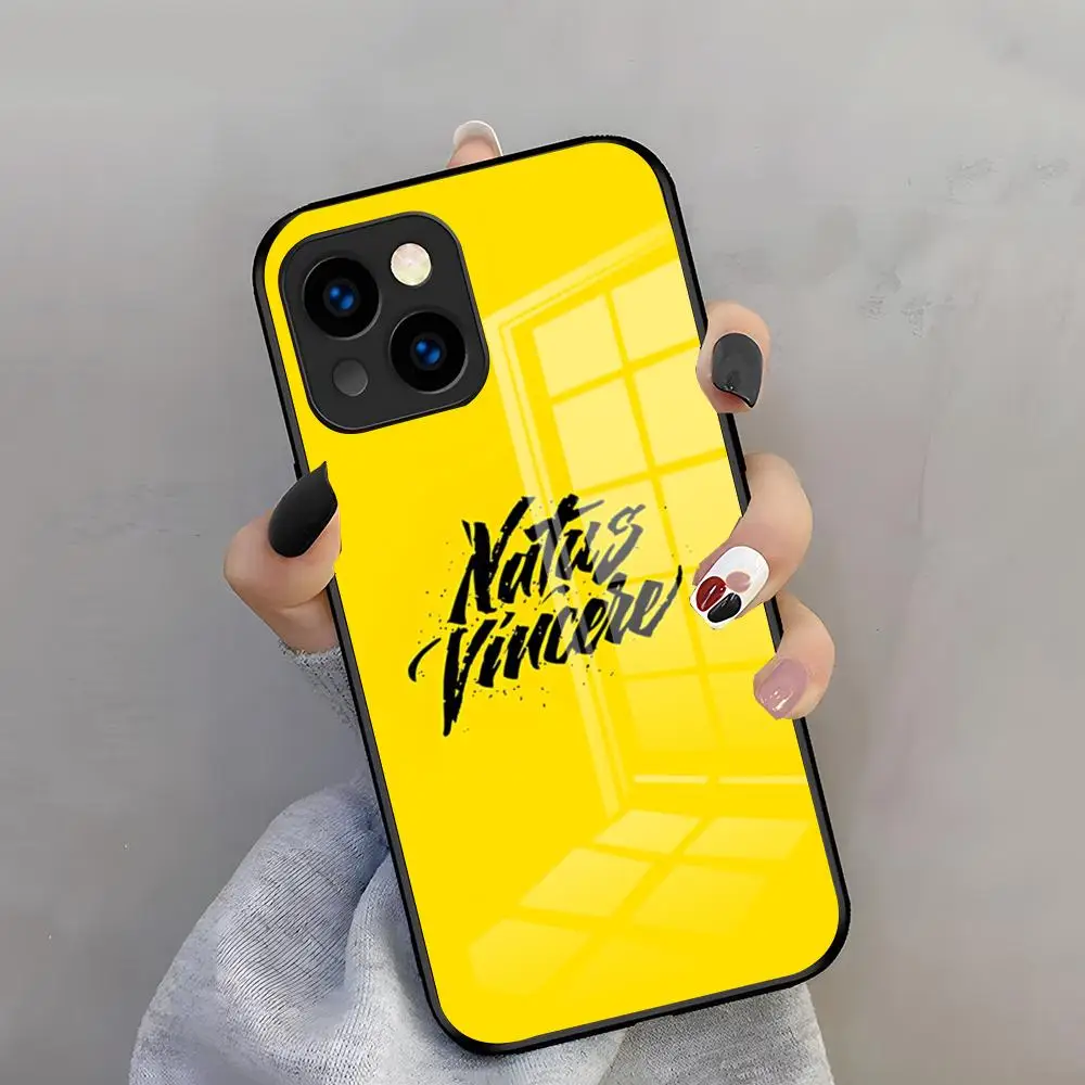 Фото Противоударный стеклянный чехол N-Natus V-Vincere для игровых смартфонов iPhone 17 Pro Max, 15 Pro, 16, 14 Plus, 12, 13 Mini, 11 Pro №5