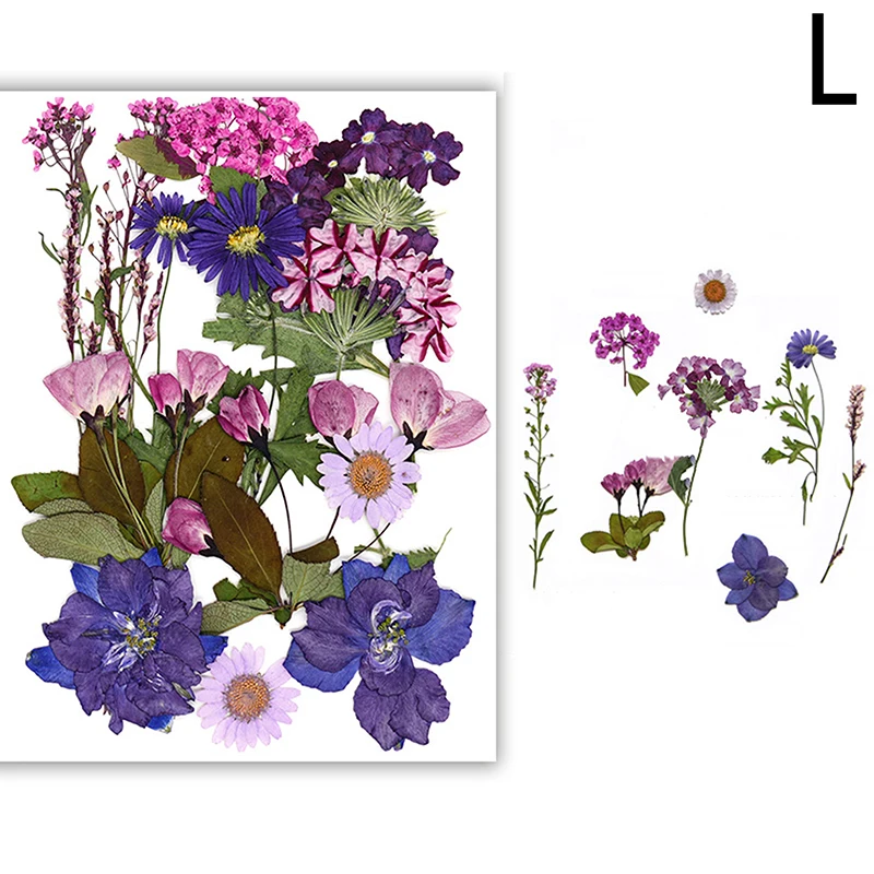 

Сухоцветы шелк WHPHous