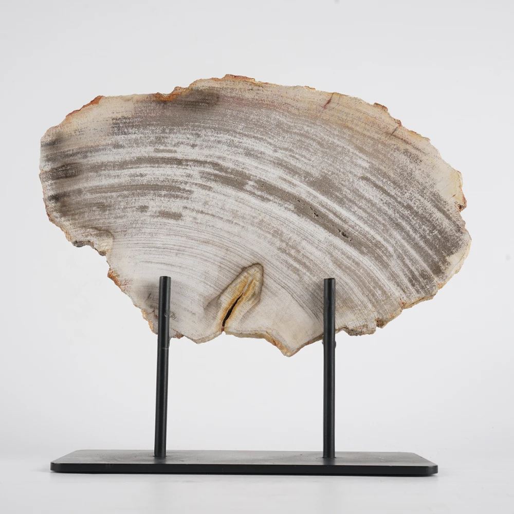 

Plants Fossil Stone Slice Feng Shui Home Decoration Accessories Living Room Petrified Wood Ornaments with Iron Stand 26x28x2cm