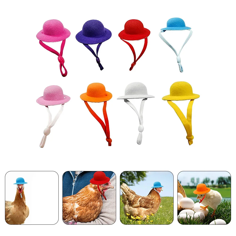 

Hat Chicken Pet Mini Hats Hamster Bird Snake Party Cover Cage Costume Parrot Tophelmet Funny Plushmexican Cowboy Cap Hens