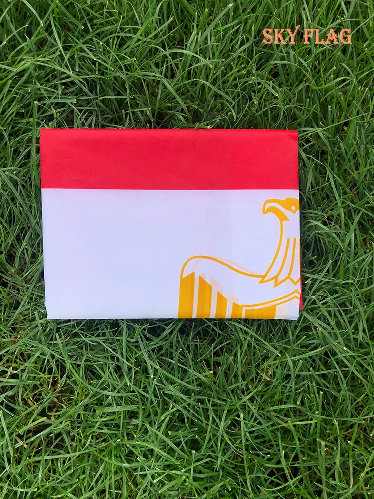 Флаг Египта 90x150 см высококачественный двусторонний печатный полиэстер EG EGY флаг