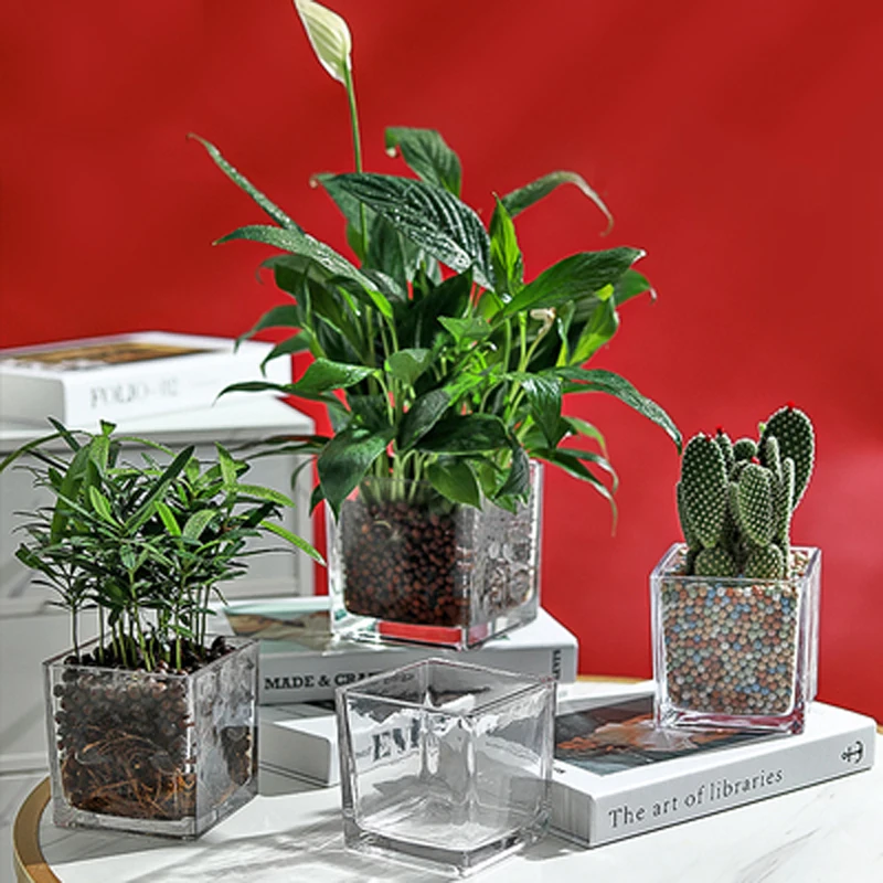 

Modern Housewife Vase Decoration Home Vazen Living Room Plant Arrangement Decor Flower Pot Creative Hydroponic Flowers Vases