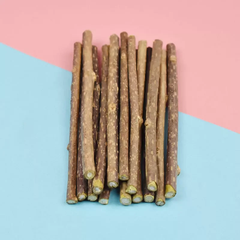 

2023NEW Natural Catnip Cat Snacks Sticks Actinidia Silvervine Cleaning Tooth Pet Toy For Cat Toys Supplies