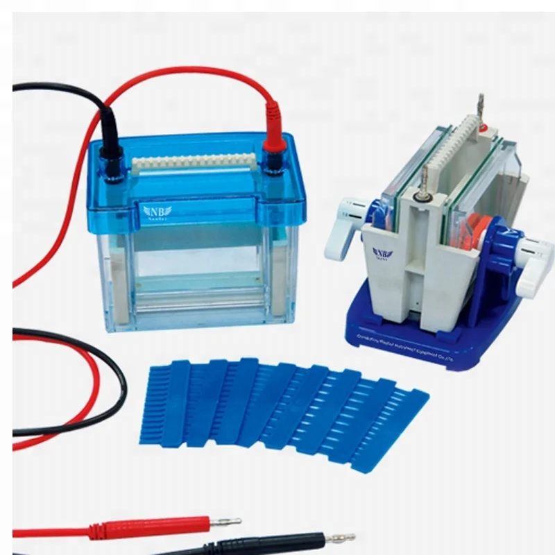 

Capillary machine gel hb electrophoresis apparatus