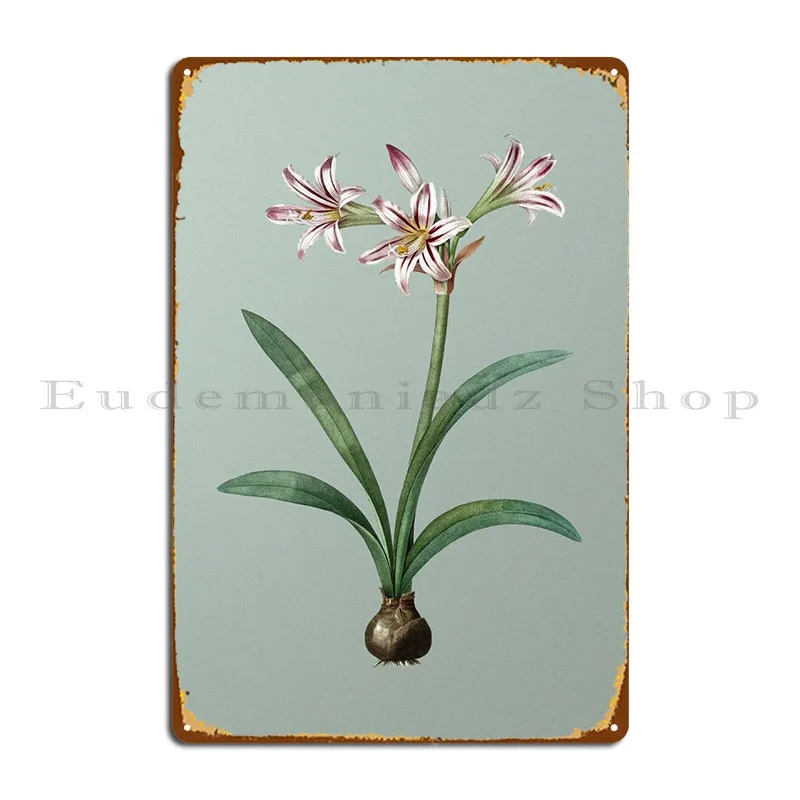 

Amaryllis On Mint Green Metal Plaque Wall Cave Painting Cinema Designing Create Tin Sign Poster