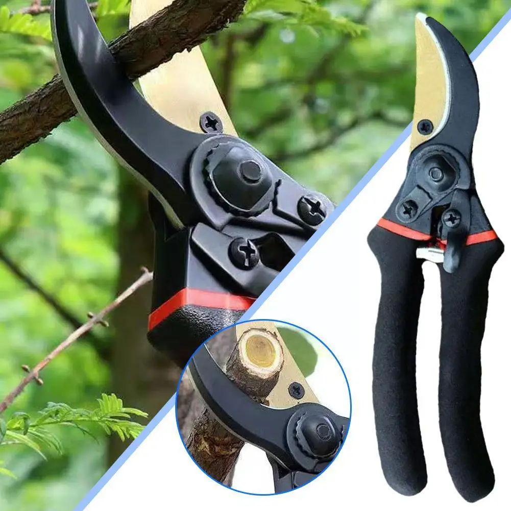 

Sk5 Steel Gardening Fruit Tree Pruning Shears Garden Tools Shears Pruning Flower Branch Branch Pruning Scissors Shears Flow K1i9