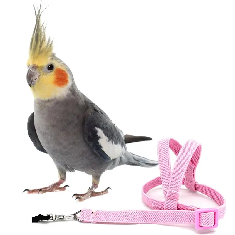 

Pet Bird Parrot Harness And Leash Bird Rope Anti-bite Flying Training Supplies Pet Leash Kits Ultralight Harness Leash Soft