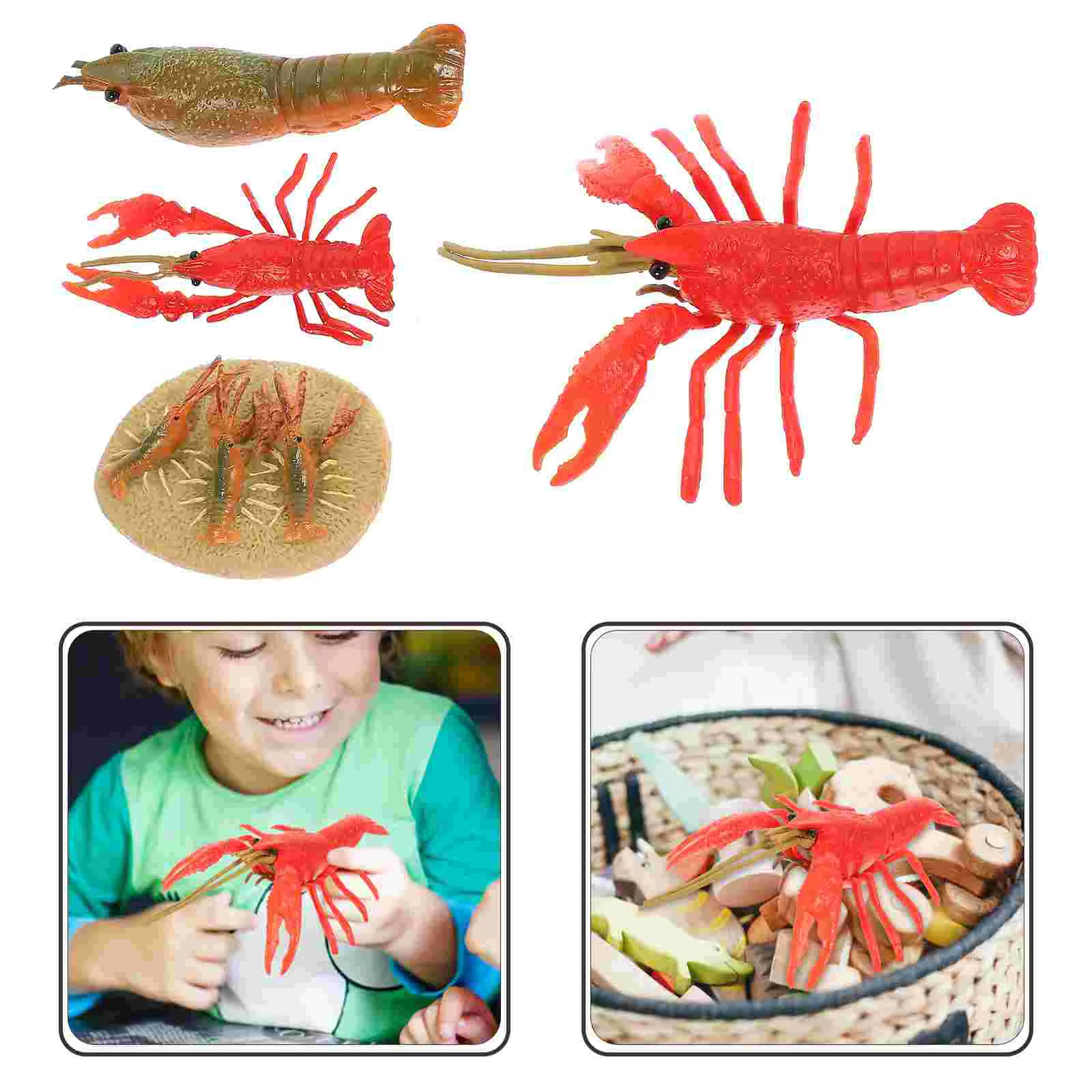 

4pcs Lobster Models Growth Cycle Model Children's Puzzle Model Animal
