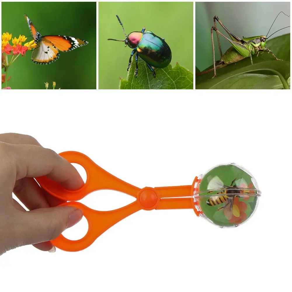 

Outdoor Garden Kids Toy Tongs Butterfly Clip Insect Scissors Insect Catching Tool Bug Catcher