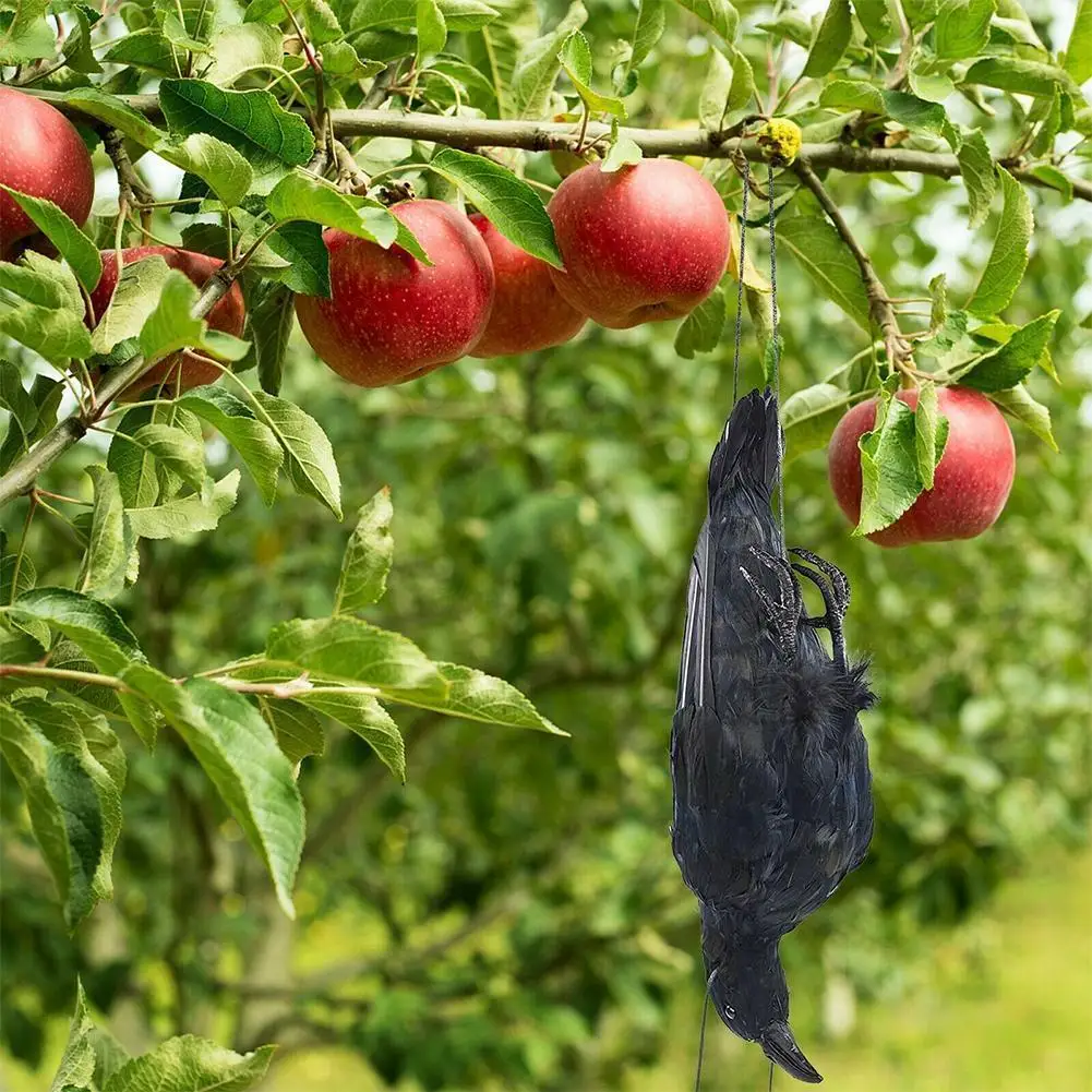 

Realistic Hanging Dead Crow Bird Mold Animal Ornaments Black Feathered Crow Simulation Garden Decor