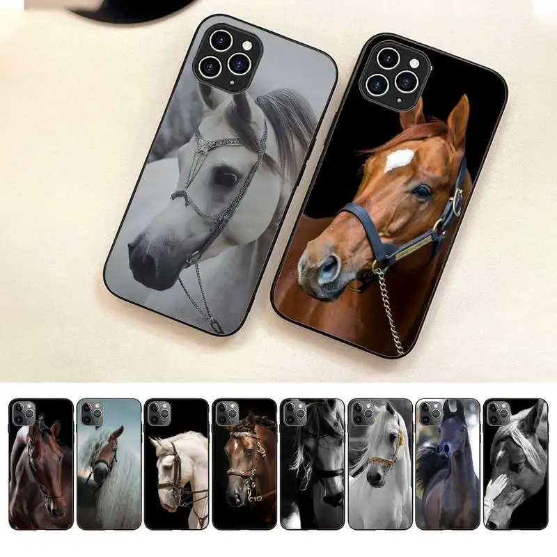 

Great Beauty Horse Phone Case For Iphone 7 8 Plus X Xr Xs 11 12 13 Se2020 Mini Mobile Iphones 14 Pro Max Case