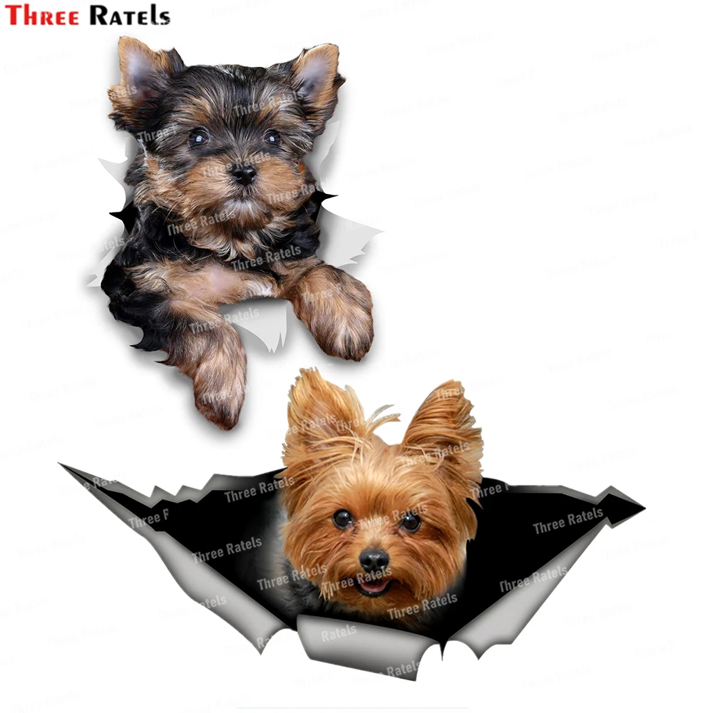 

Наклейки и Переводные картинки Three Ratels I829 Dark Magician Girl Yu Gi Oh для украшения автомобиля, автомобильные аксессуары, виниловый материал, водонепро...