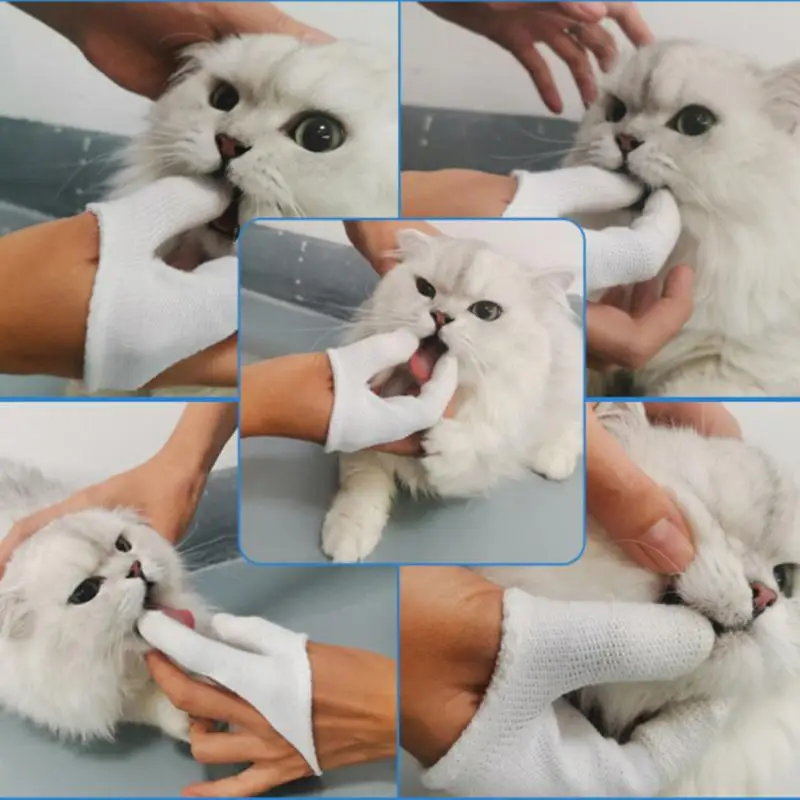 

1Pcs Pet Finger Toothbrush Cotton Dog Sniffing Bad Breath Tartar Teeth Care Dogs Cat Cleaning Soft Supplies Toothbrush