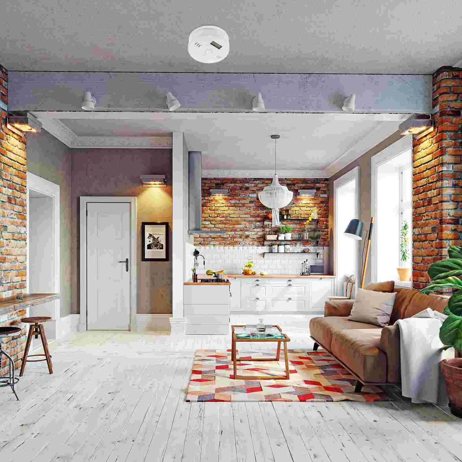 Рисунок 5 - Портативный прочный газовый ЖК