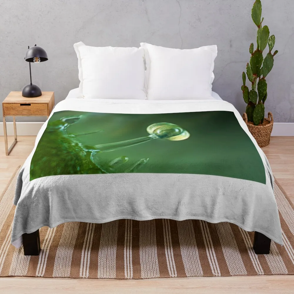 Волосы из листьев томатов LM (C021/9631) Одеяло Декоративные кровати Роскошные