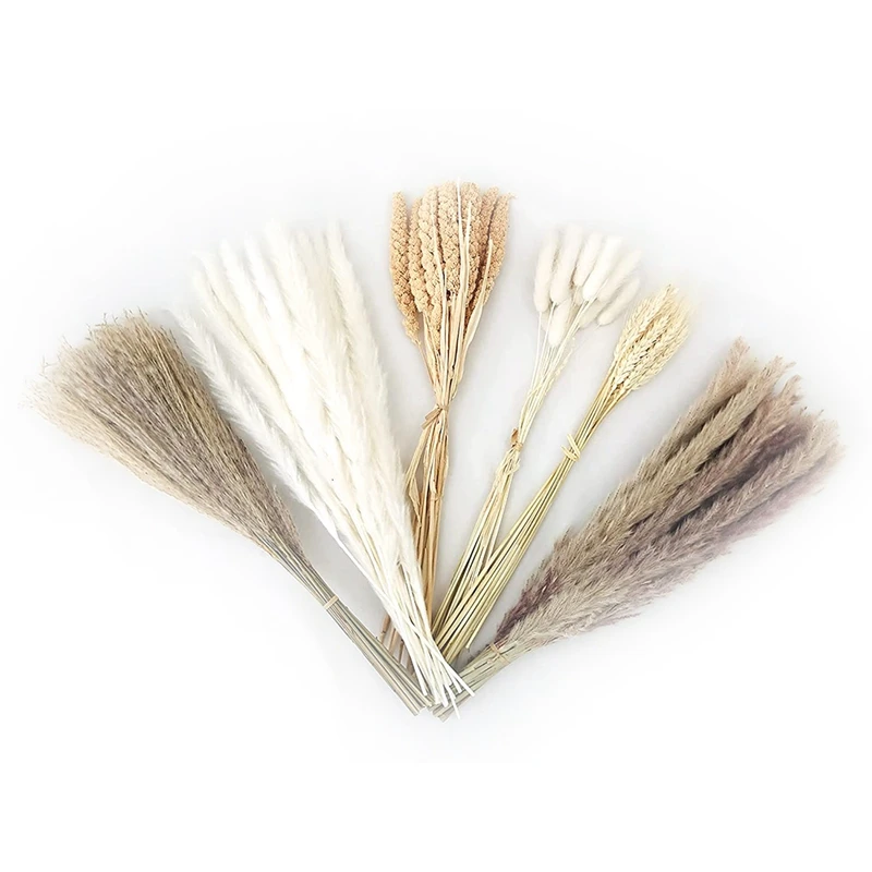 

100 Pcs Natural Dried Pampas Grass Decor, 17Inch Pompas Floral, Suitable For Boho Vase