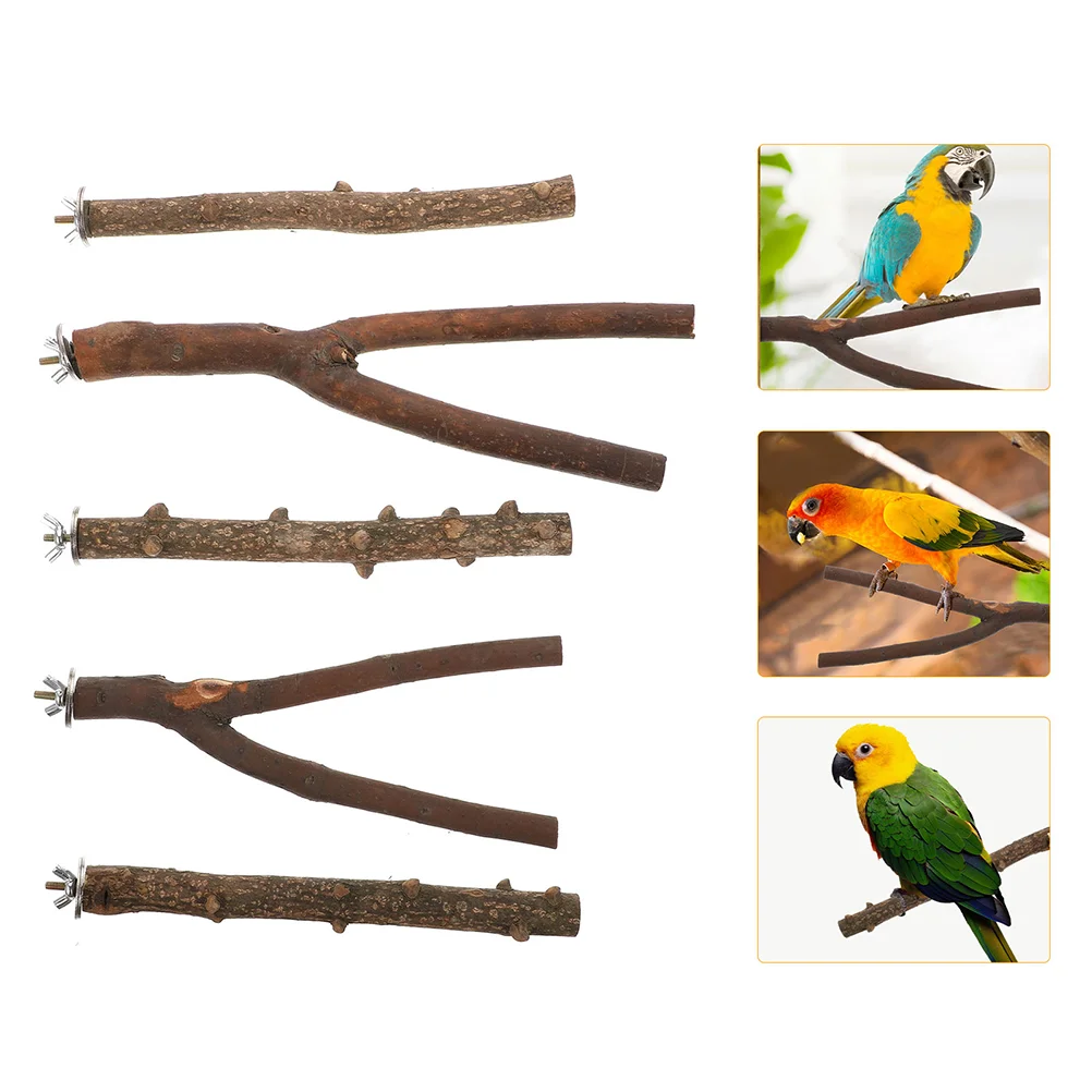 

5pcs Parrot Standing Poles Standing Sticks for Birds Parrot Climbing Wood Perches