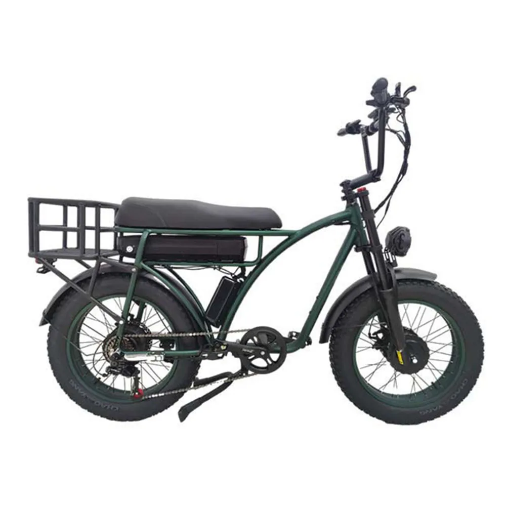 

The Snow Electric Bicycle 1000w 48v 18.2ah 20 Inches Variable Speed Aluminum Alloy Dual Drive Bright LED Light Mountains Moped