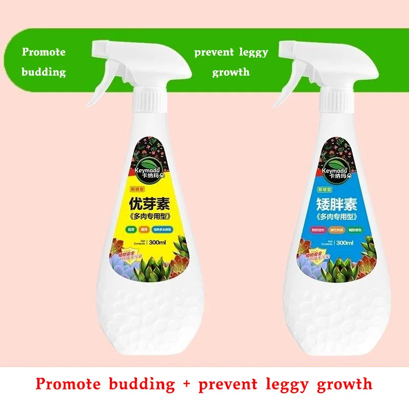 

Succulent plant Eugenin promotes budding, dwarf fat, prevents leggy organic granules, succulent, and succulent 300ml