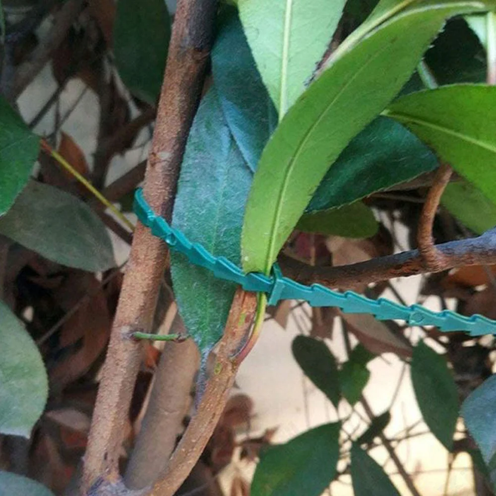 Description Picture 6 of item50 Pcs/set 13cm/17cm/23cm Reusable Garden Plant Fixed Belt Ties Plastic Adjustable Garden Plant Tying Band Tools