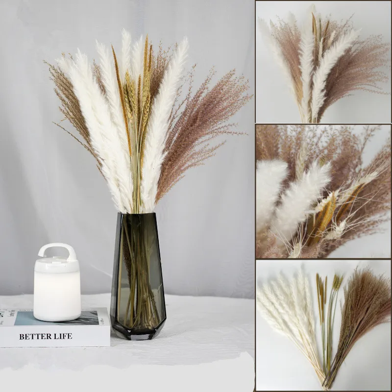 

Pampas Grass Phragmites Reed Dried Natural Flowers Bouquet Arrangement Wedding Party Decor Christmas Decorations For Home Table