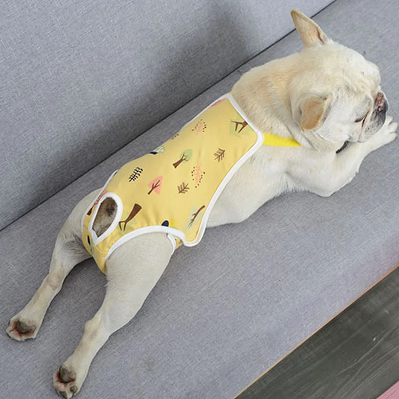 

Pet physiological pants cat dog menstrual pants female dog hygiene pants anti-harassment pet safety pants puppy overalls