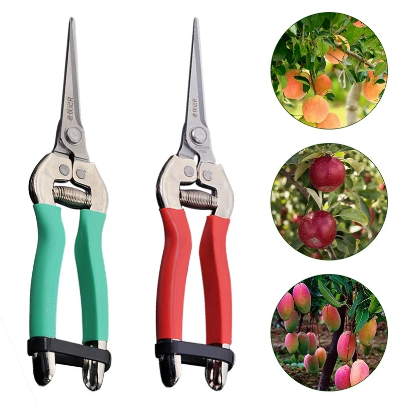 

Garden Pruning Shears Fruit Picking Small Scissors Branches Potted Cutting Trimmer Household Orchard Farm Gardening Tools