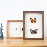 real specimen butterfly specimen wood photo frame craft gift for man home decoration framed wall art portaretratos de fotos