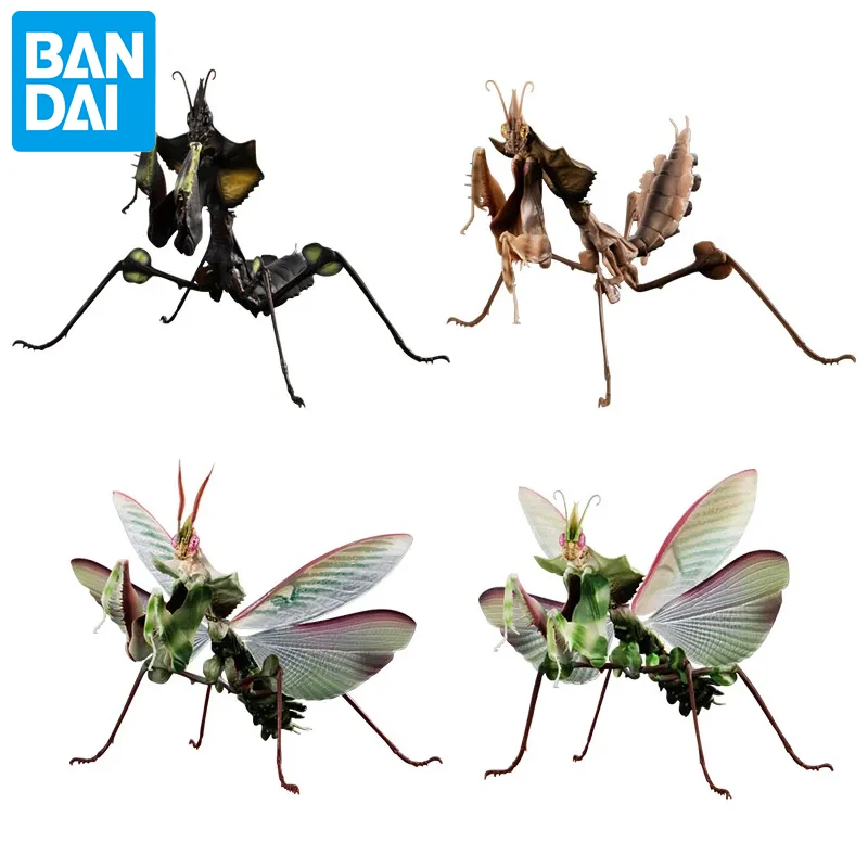 

Bandai Genuine Insects Gashapon Toys Simulated Movable Assembled Idolomantis Action Figures Model Ornament Toys for Kids Gift