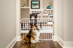 

Pet Expandable Metal Dog Gate, White, 38 Dog play pen Dog tent clearance Dog pen cage Wireless dog fence Cat playpen Dog door C