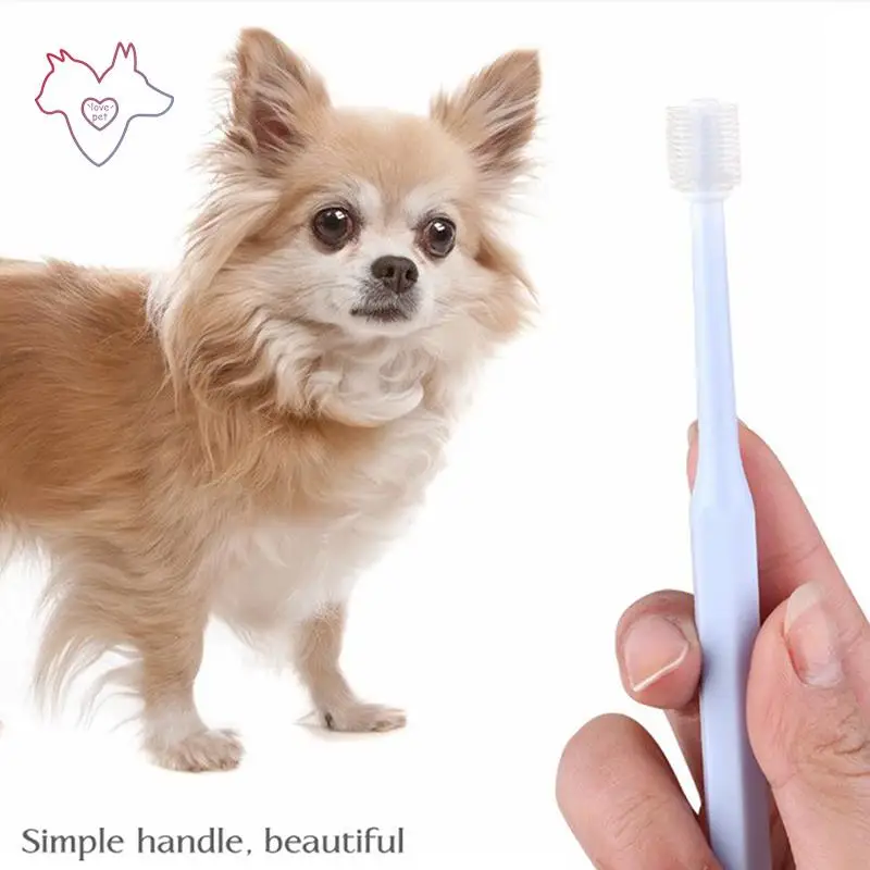 

Pet Cat Toothbrush Super Soft Nylon Bristles Tooth Brush 360 Degree Oral Cleaning&Cat Face Blackhead Cleaning Cat Acne Brush