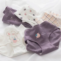 cotton cartoon rabbit panties womens cute kawaii mid waist briefs girl purple student soft briefs female underpants lingerie
